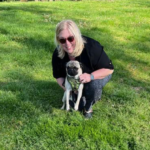 pug available to rescue in Maryland