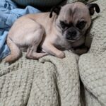 Samuel Rigby curled up on a blanket