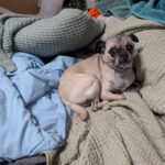 Samuel Rigby curled up on a bed, close-up