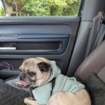 Samuel Rigby wearing a sweatshirt during a car ride